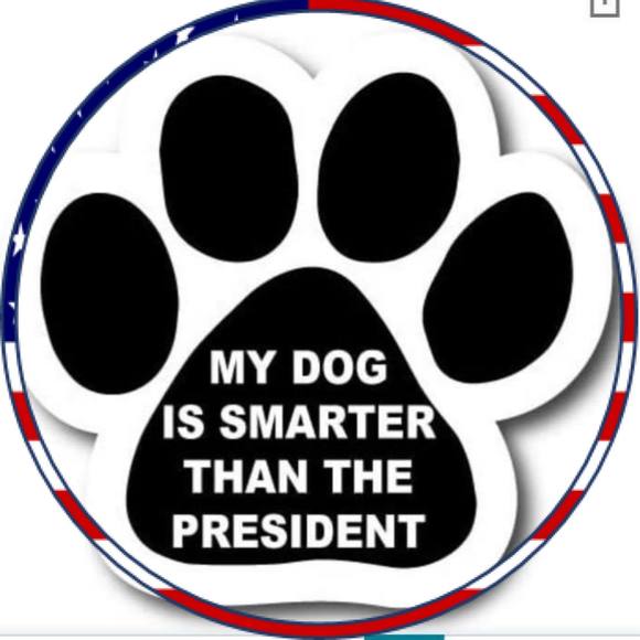 Meet your Posher, Brenda - Picture 1 of 1